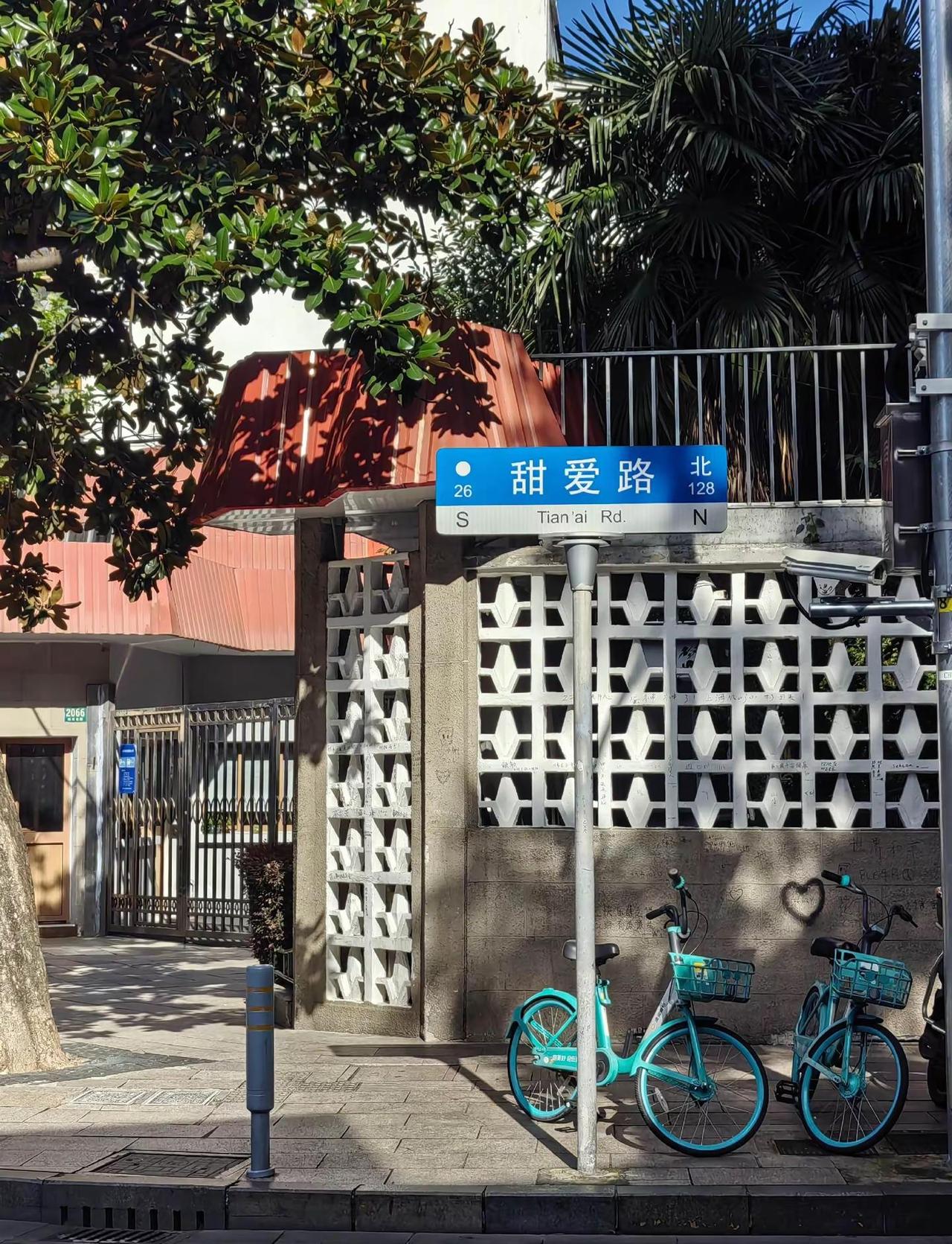 后来我真的来到上海这条街又多希望在这条街上能遇见薛之谦