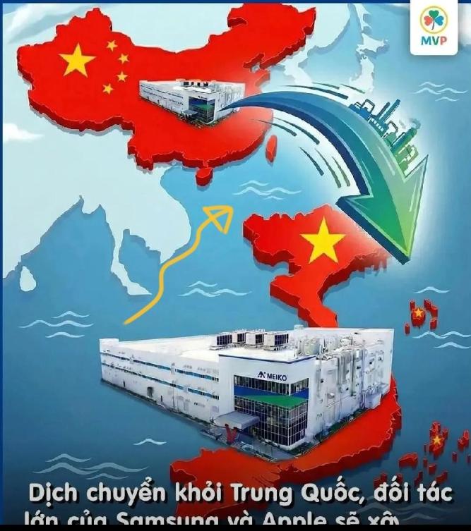 终于知道为啥日本要分家了？

日本这回是铁了心要“分家”了，连个缓冲期都不给。