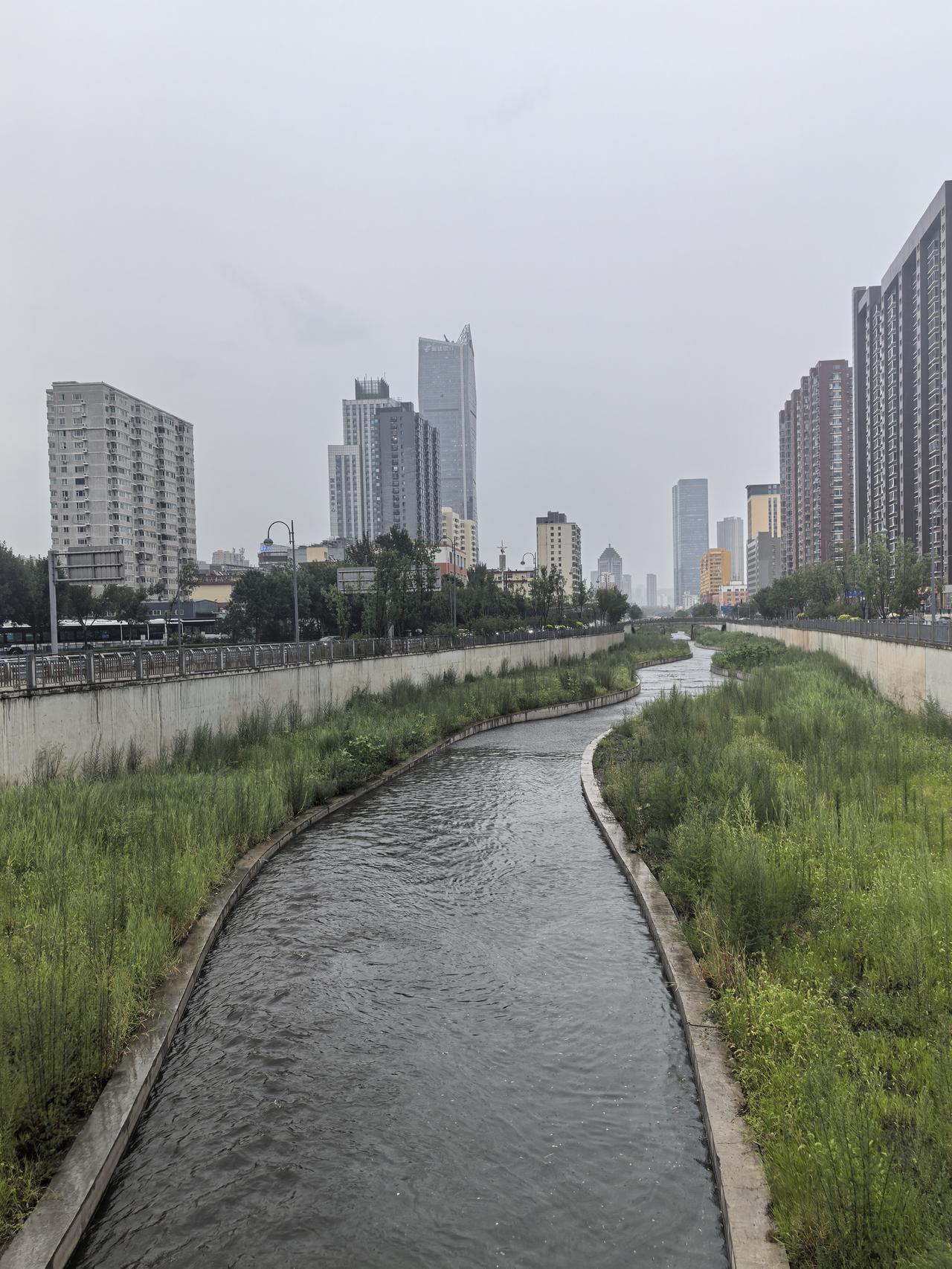 城市中的绿意盎然，静谧的河流与高楼相映成趣。