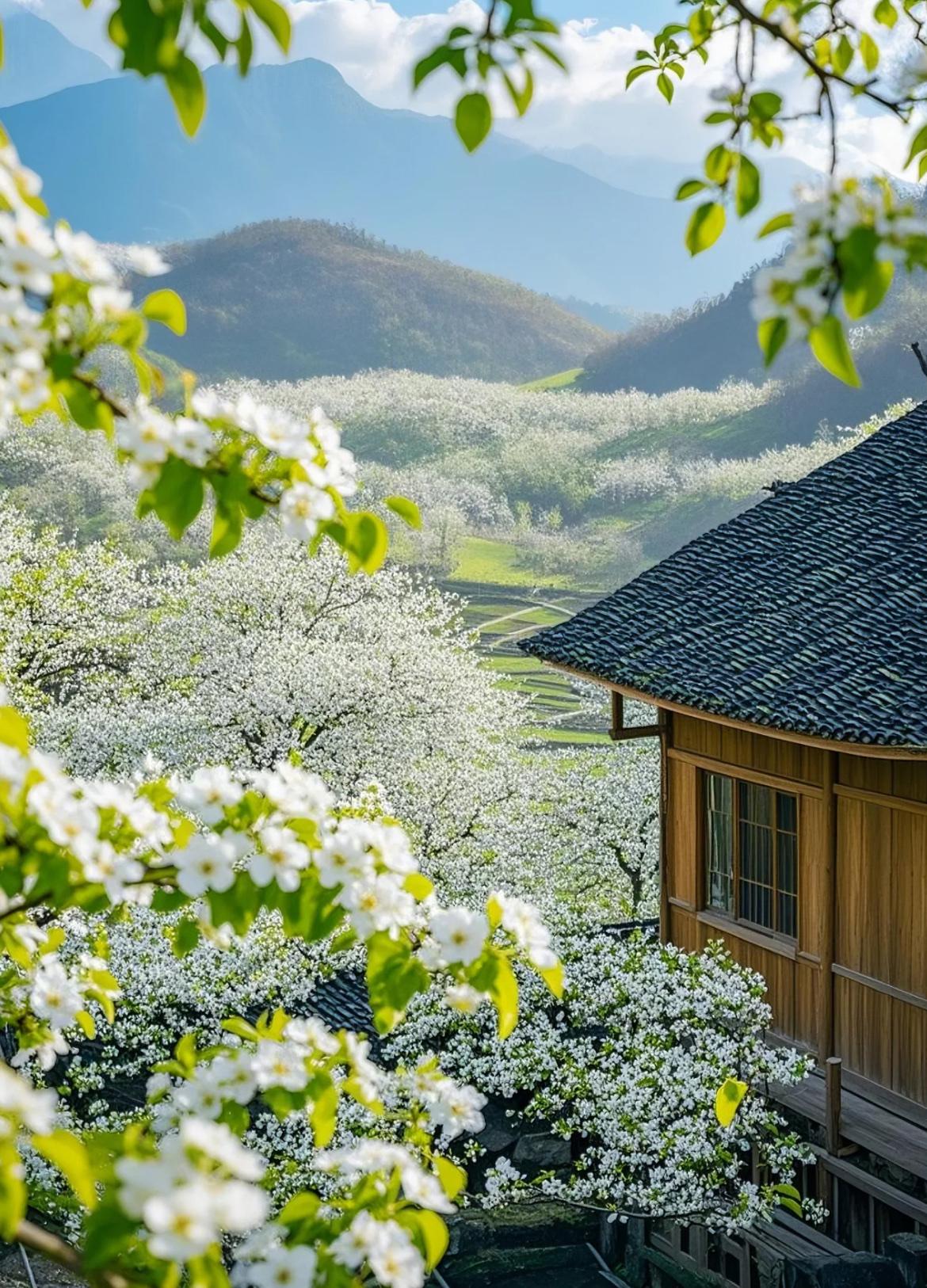鸟语花香迎春来

2. 风和日丽唤春来

3. 柳绿桃红盼春来

4. 暖阳柔风