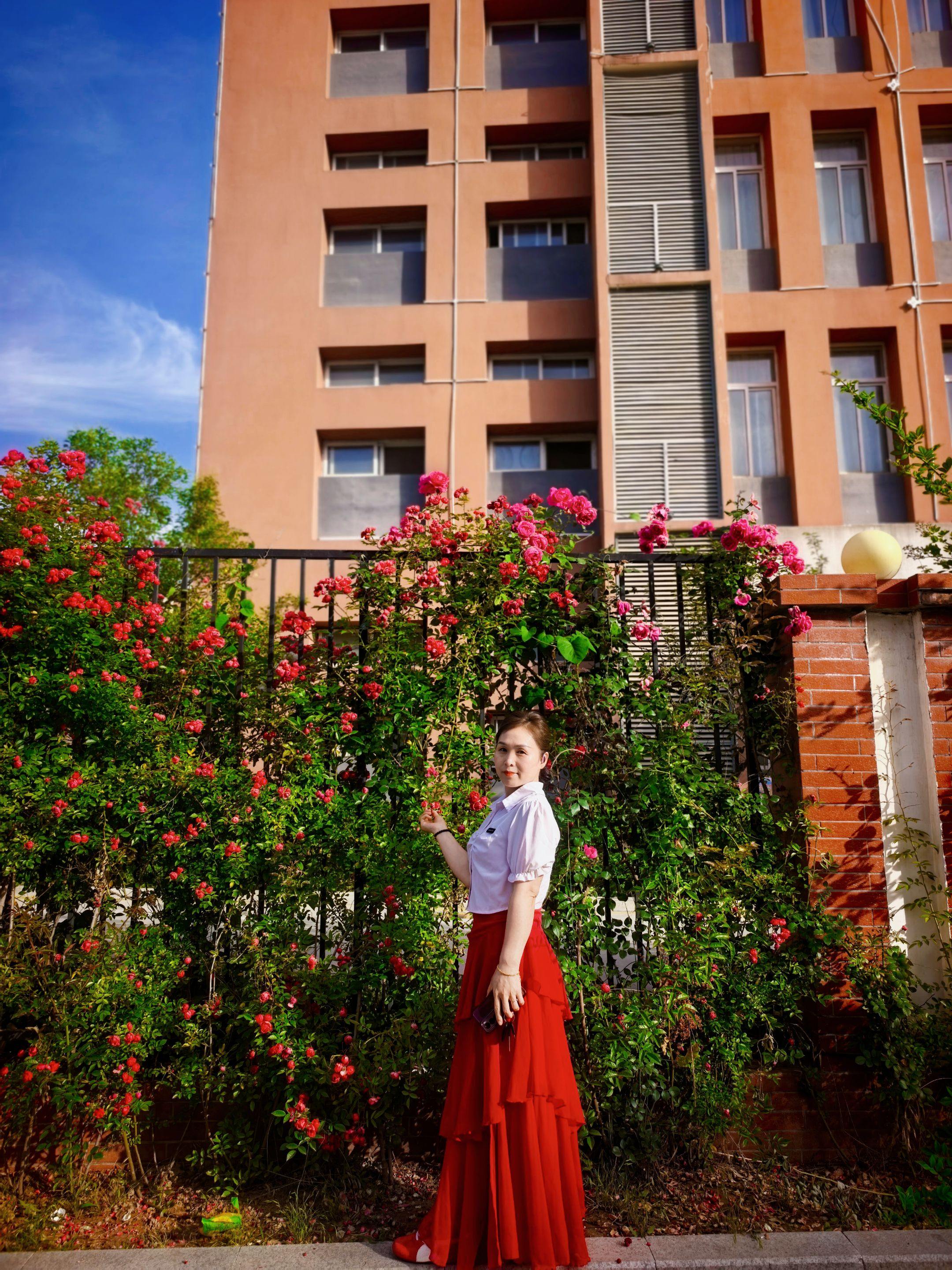 感谢我的摄影师🌹🌹🌹  生活是晨起幕落，日子是柴米油盐，比起浪漫...