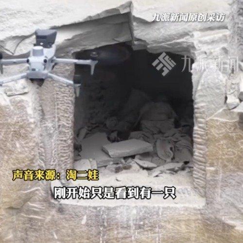 近日，一则由无人机拍下的视频引发了广泛关注。重庆一位无人机爱好者在飞行训练时，意