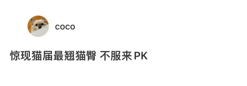 猫的翘臀已经可以顶一瓶汽水了 ​​​