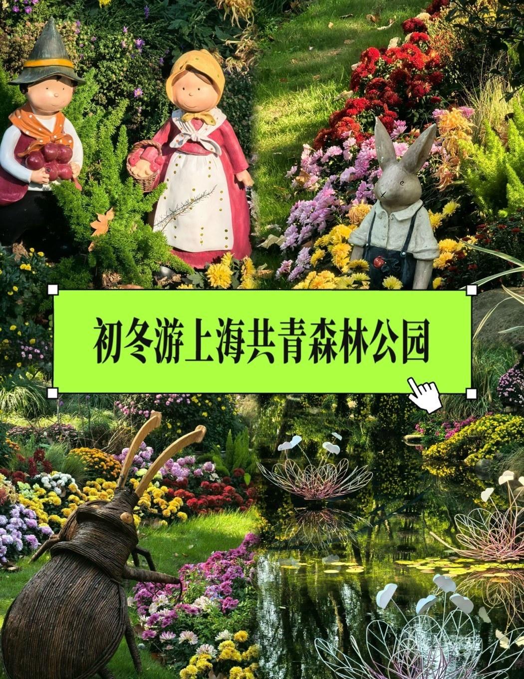 初冬游上海共青森林公园🌲🌳🌴
📍上海 
🌿【森系暗涌：共青森林漫游指南