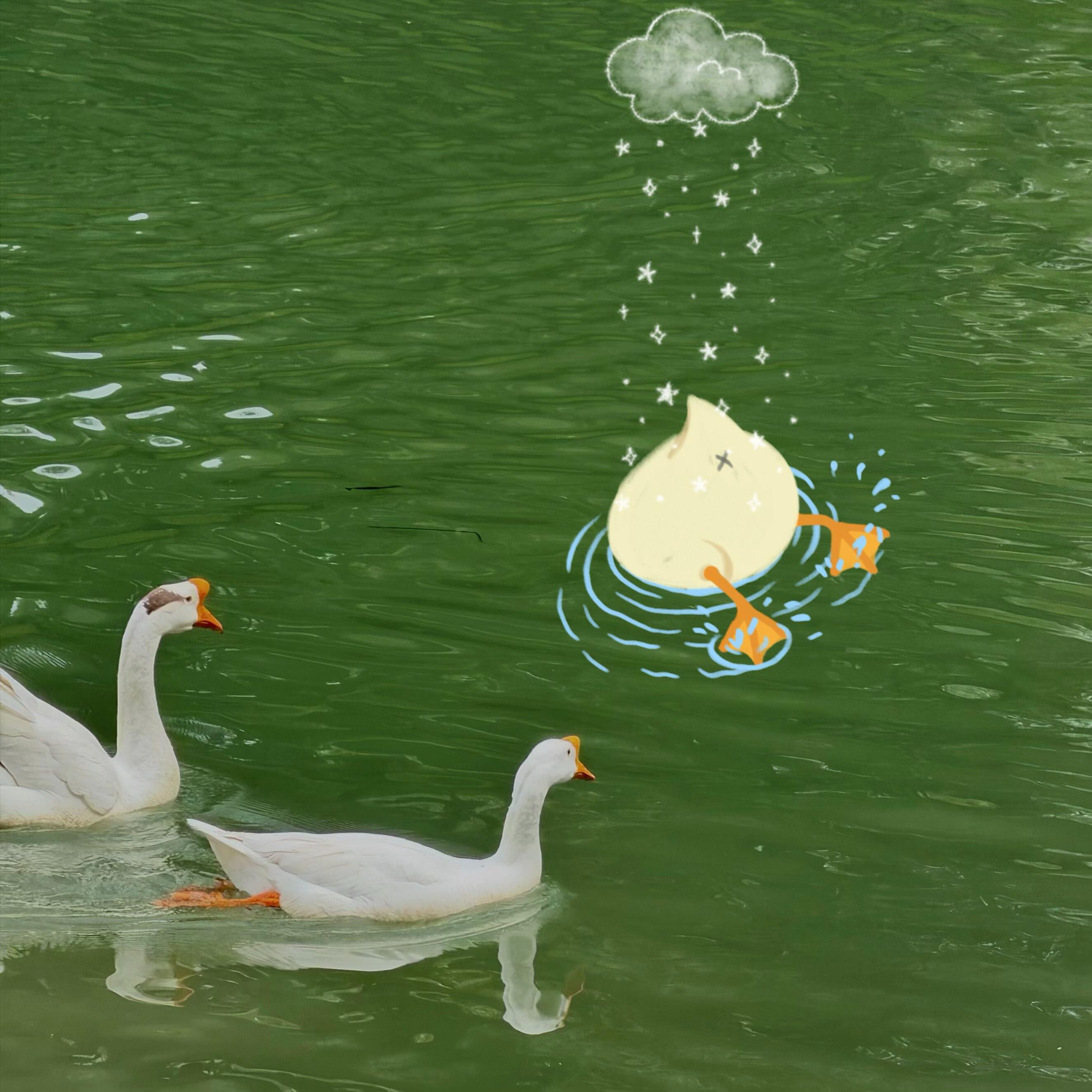 𝘀𝗺𝗶𝗹𝗲𓂂𓏸 ʺ̤ ▸🍃𓂂𓈒“人总是把最好的东西 糟蹋了之