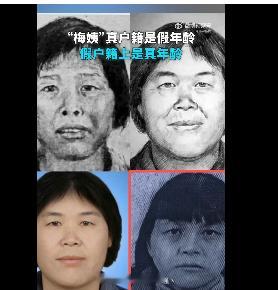梅姨真户籍是假年龄假户籍是真年龄 “到底谁在包庇梅姨”这个说法，本身是把“没抓到