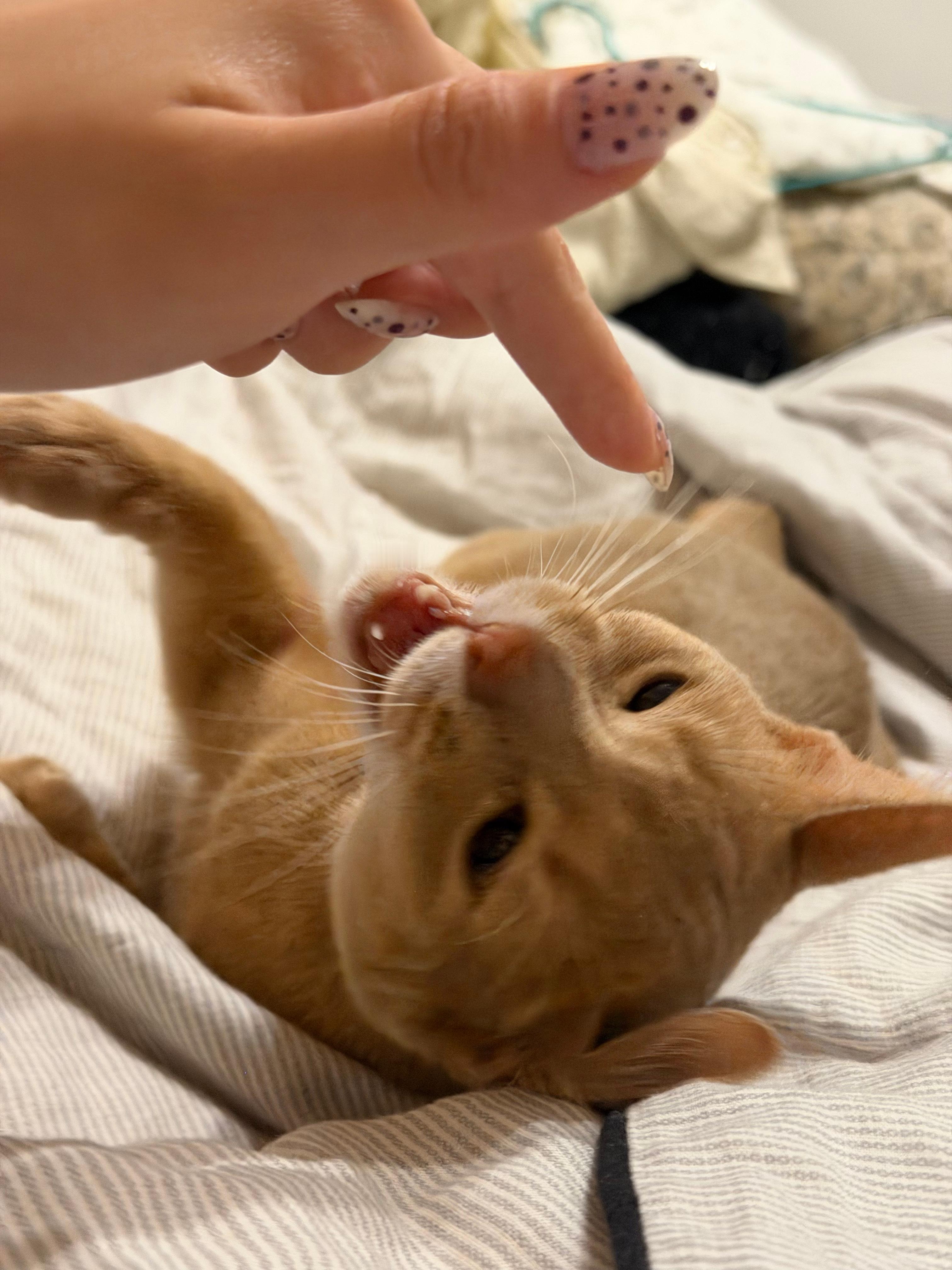 所有人跟我报备 