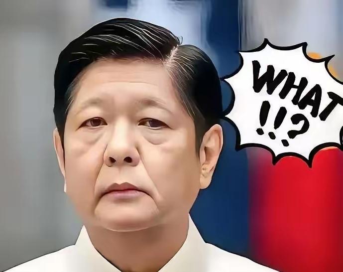 菲律宾正式宣布
 
菲律宾正式宣布扩大美军在菲军事存在，新增4个军事基地供美军使