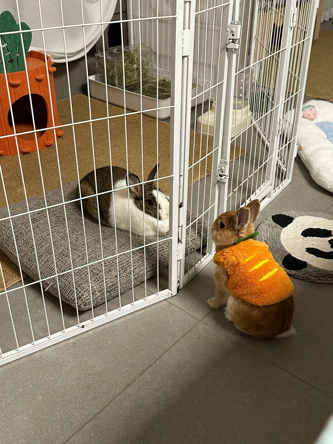 女孩为了他坐了牢