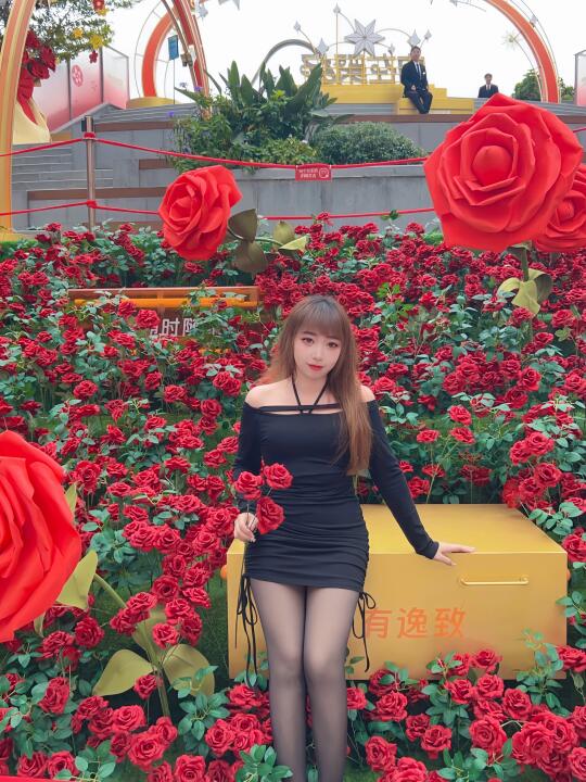 谁懂啊‼️绝美玫瑰花海，太太太好看了吧