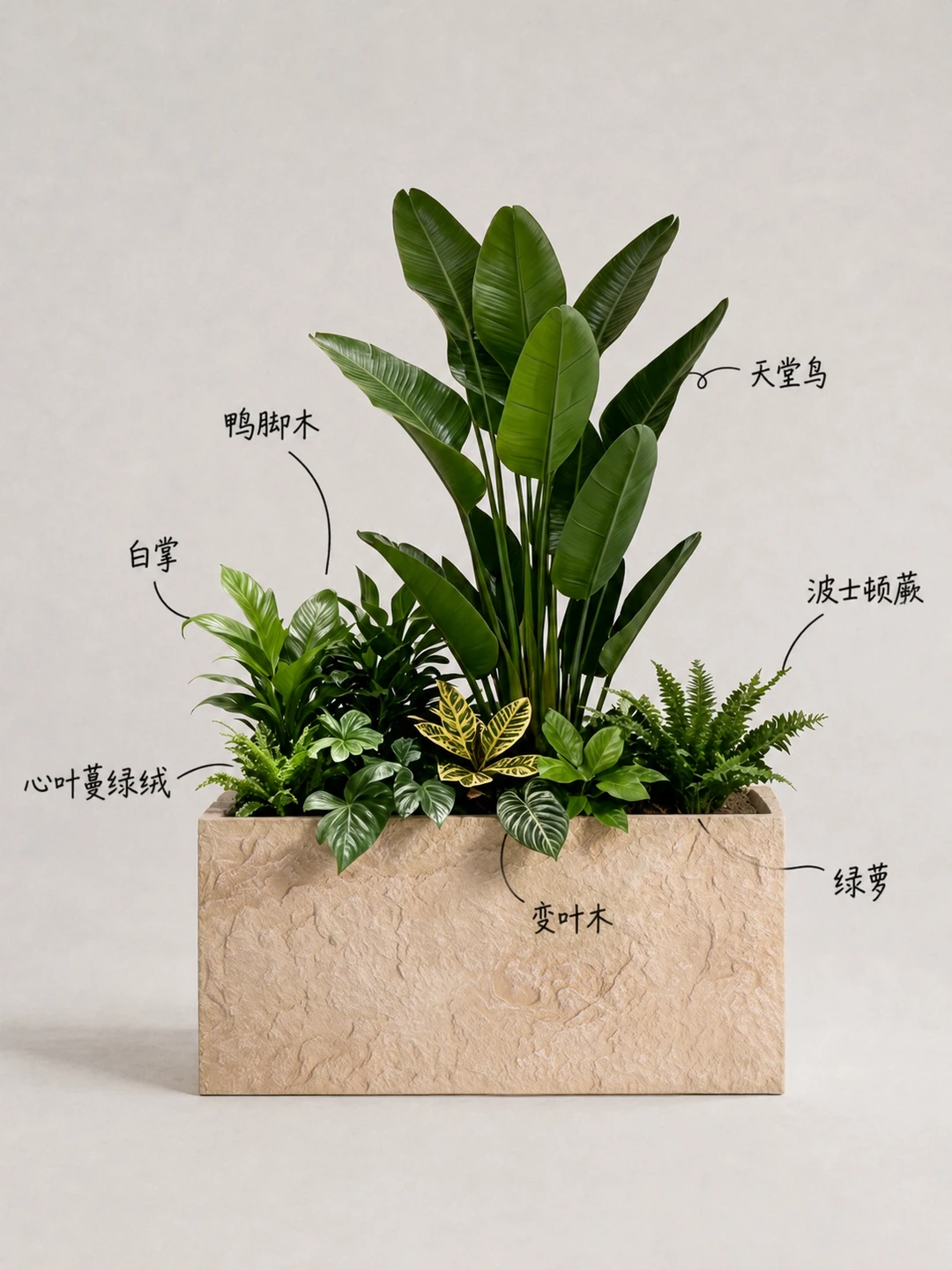 把森林搬进门店的绿植搭配公式
