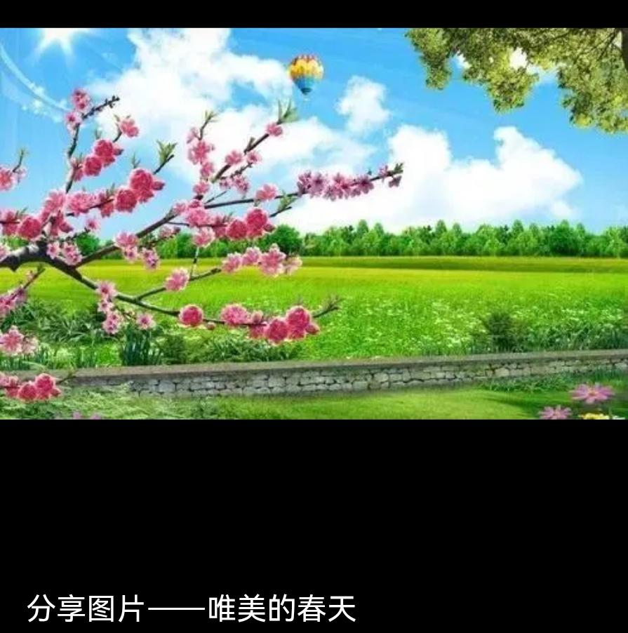 春天为广袤的大地铺上了柔软的绿毯，春天更为世间万物换上了绚丽的新装。