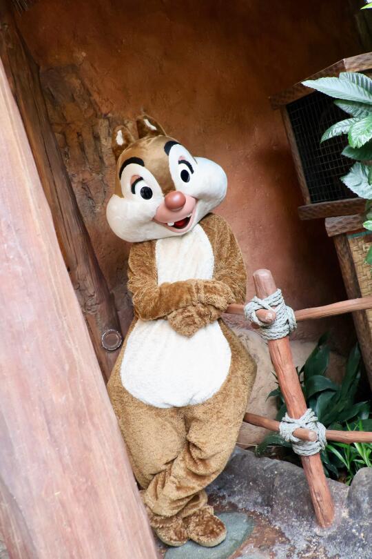 ❤️奇奇蒂蒂小可爱❤️