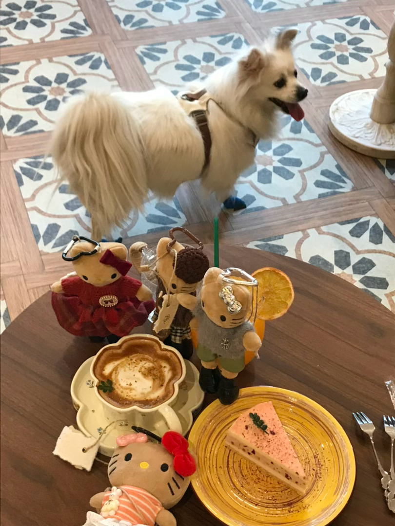 好运会降临在你爱自己的每一刻 