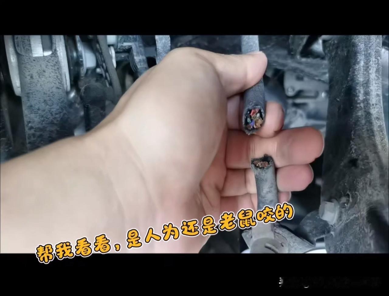 简直丧心病狂！

有车主反映，自己的小米 YU7 在公园停放十几天后，再次启动后