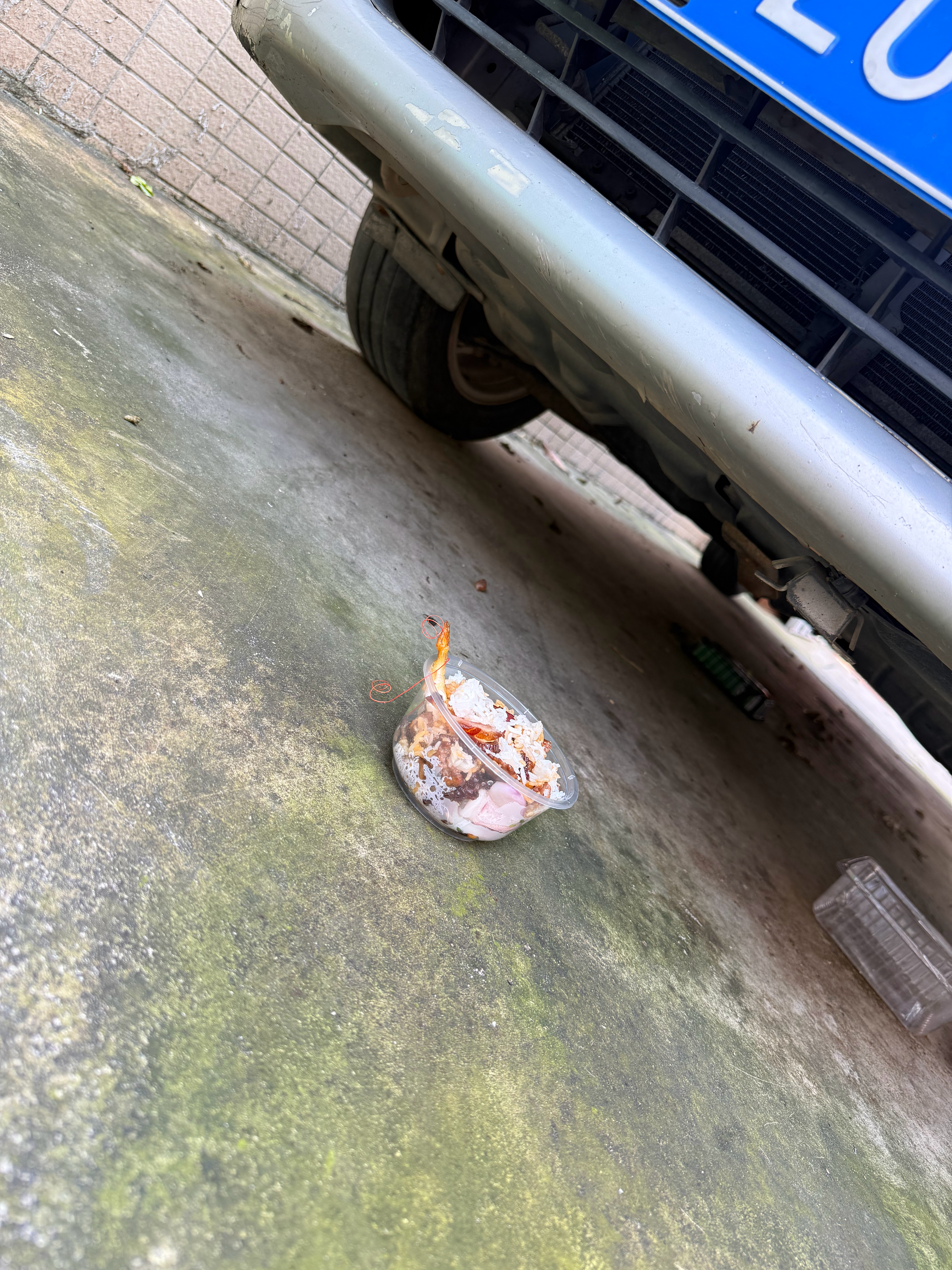 路过网红店，给小猫打包的腊味煲仔饭，腊味和牛肉焖得刚刚好，第一个过来觅食的小猫一