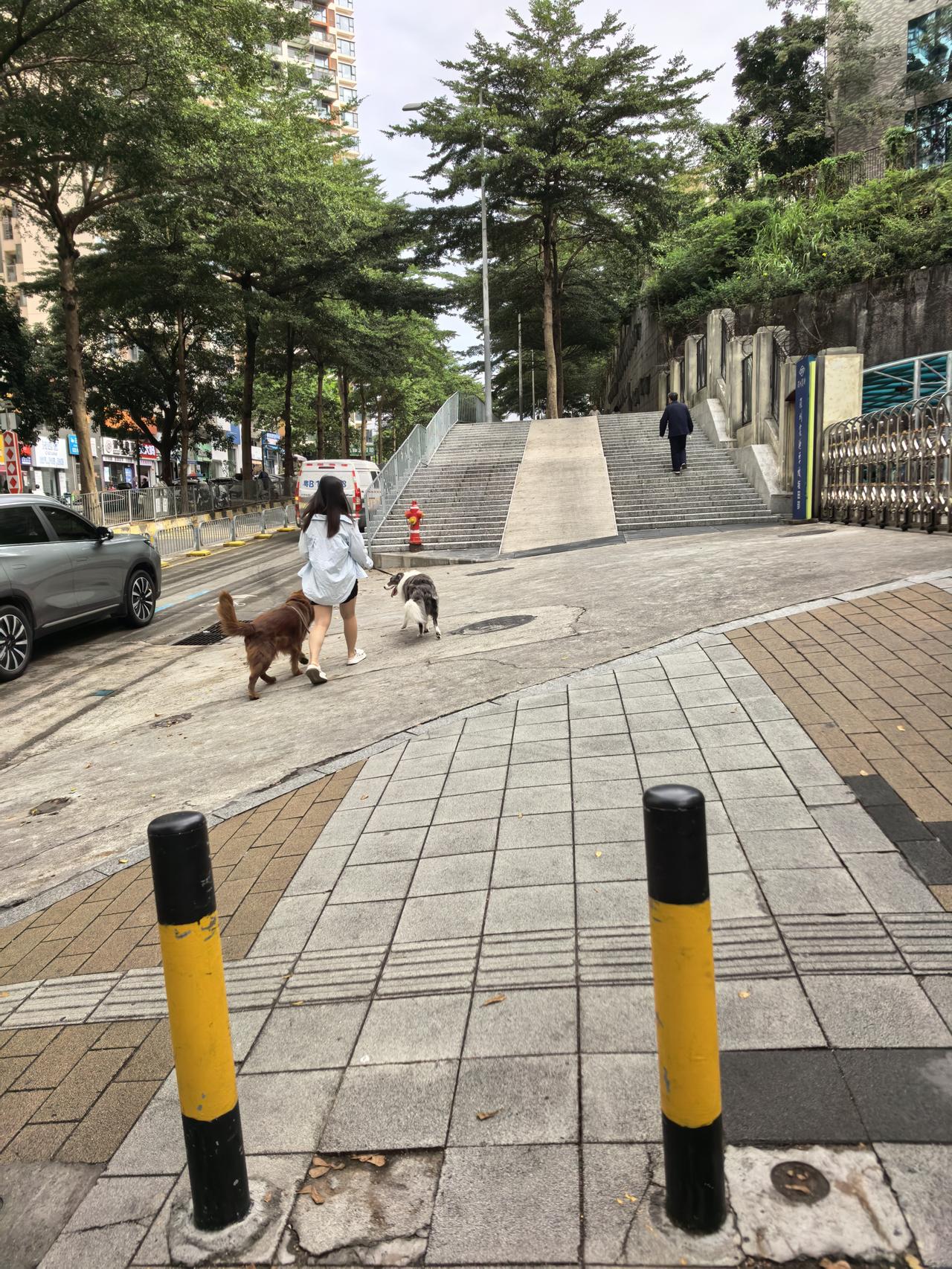 禁养烈性犬,你赞同还是反对?赞同。那天买菜在一路段，有一女人牵着两只大狗，很凶猛