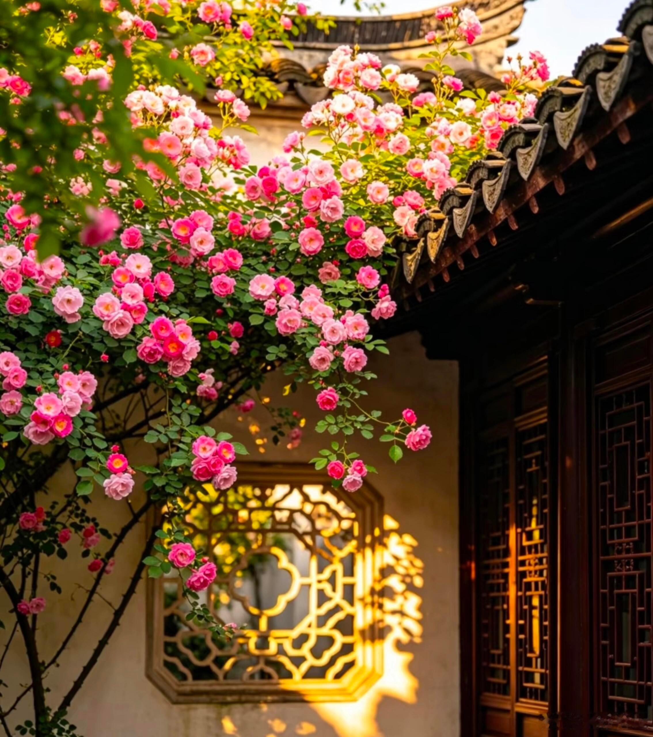 心态好，情绪好，身体好，运气就好。人不作，话不多，事不拖，与己无关，不问不想也不