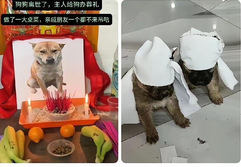 一个养狗人家里的狗死了之后，他给自己的爱犬办了灵堂点了香烛和上了贡品，还让其他的