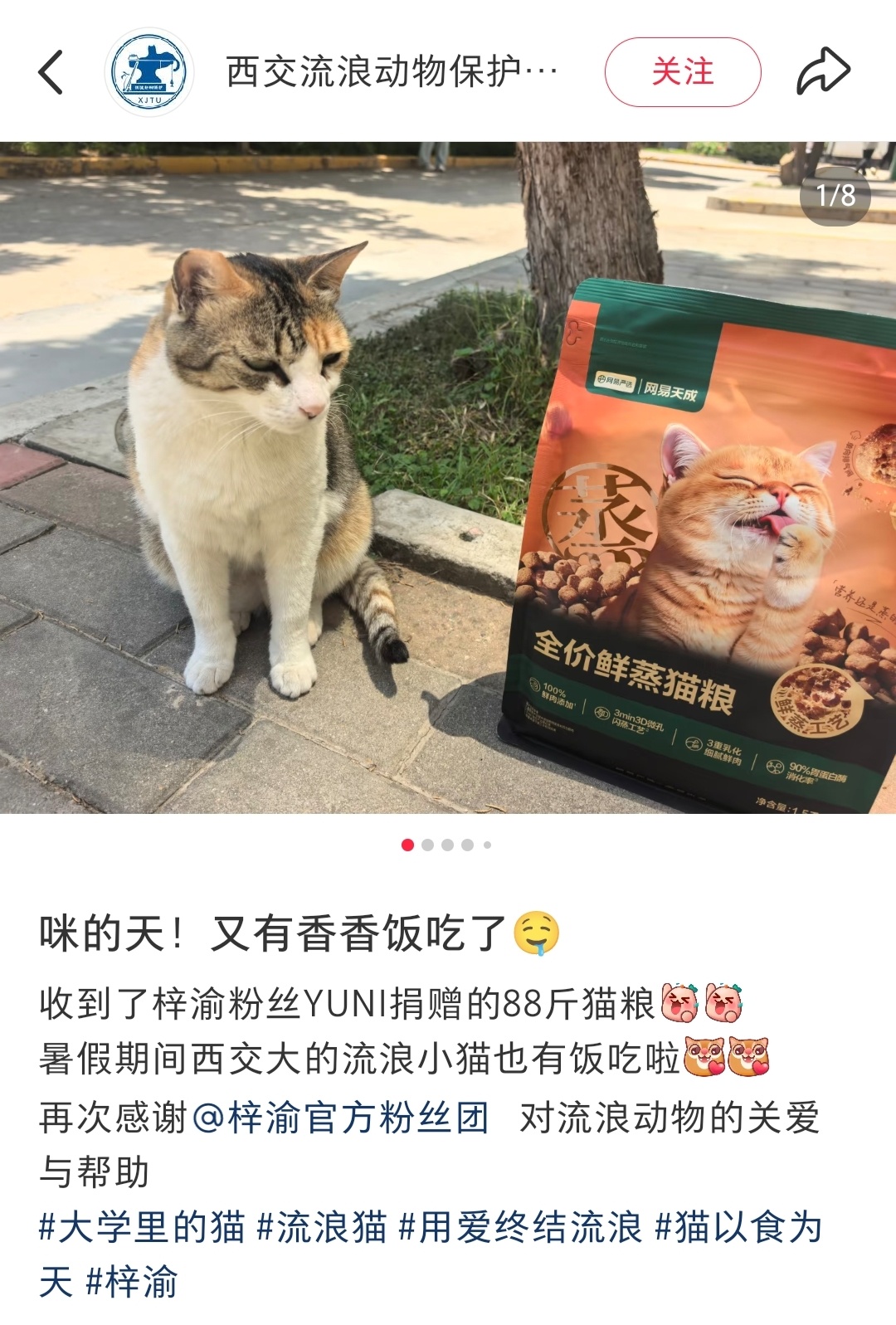 梓渝粉丝YUNI向76所高校捐赠猫粮梓渝𝟮𝟰岁生日YUNI公益应援：梓渝官方