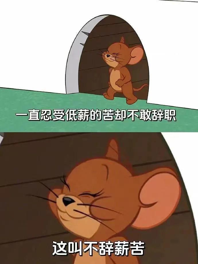 杰瑞对待工作的态度[呲牙]