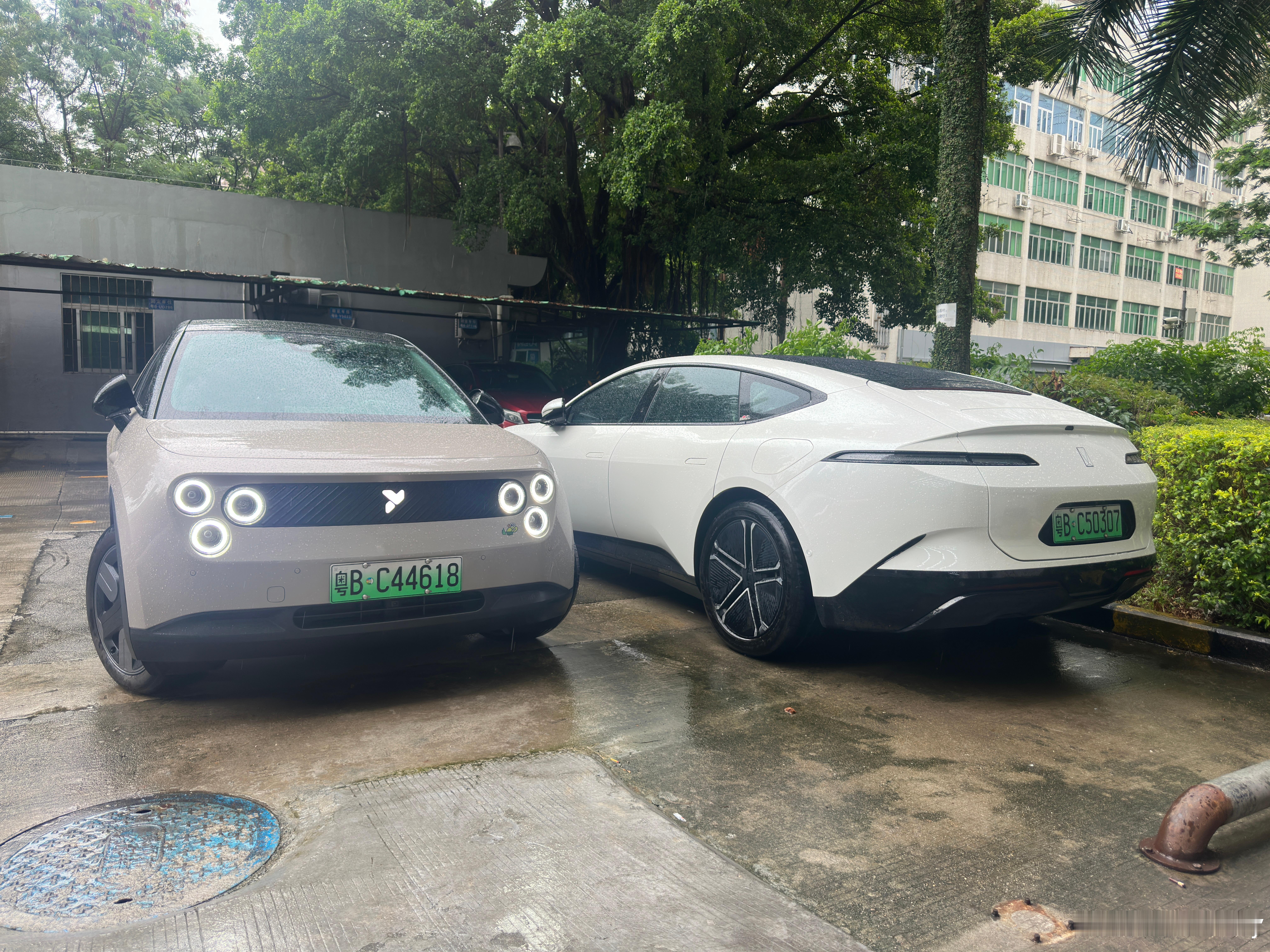 一台灵动可爱一台英俊靓仔  ​​​