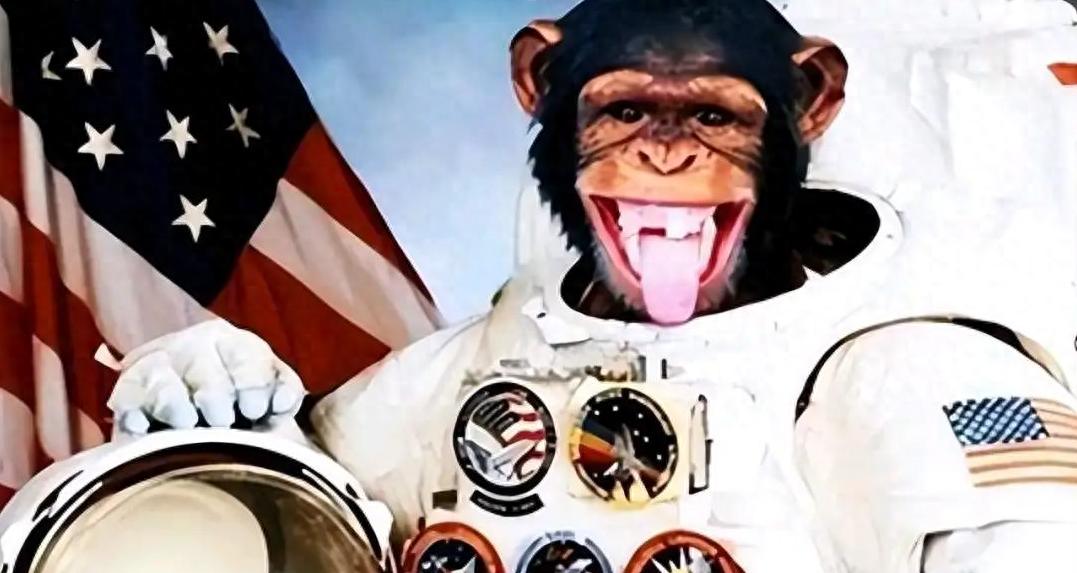 1961年，一只黑猩猩被美国送上太空，平安落地后，美国的航空研究人员发觉不对劲.