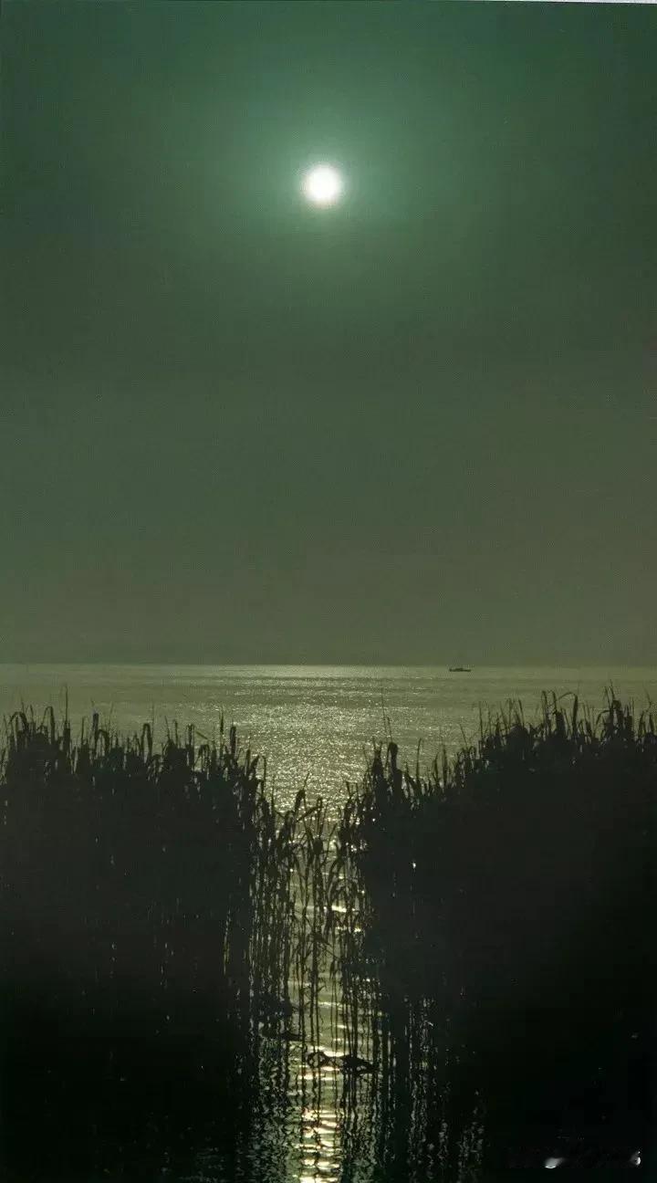 波横万里舟