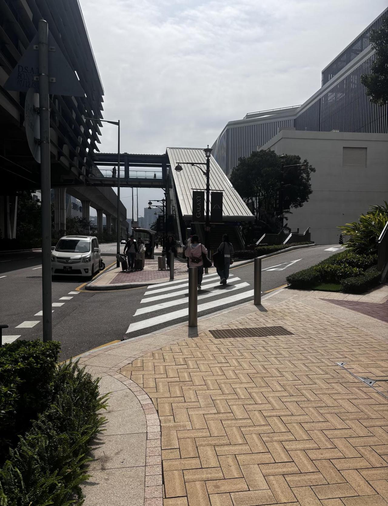 谁家孩子掉了！
在天桥前面花坛放着