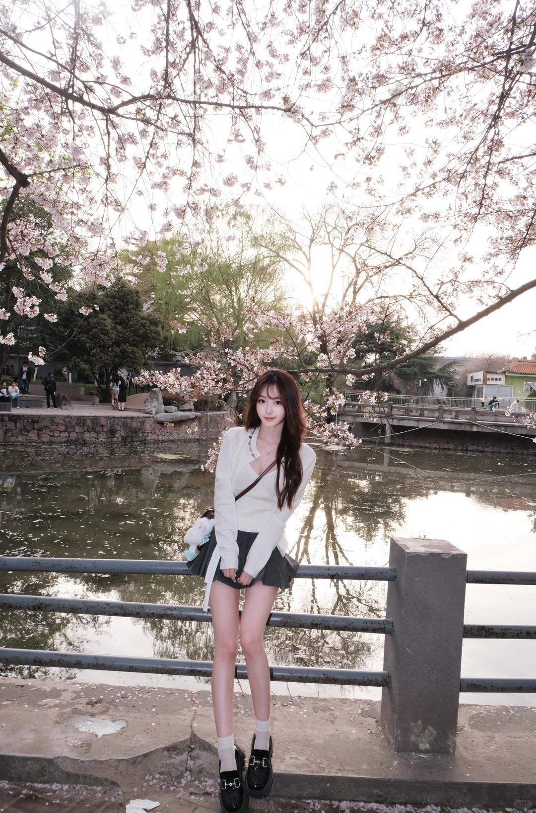 暖暖的春风轻轻拂过，枝头的樱花簌簌飘落，粉白的花瓣铺成浅浅一层，踩上去软软的。我