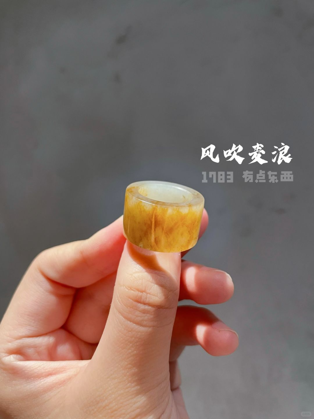 它们总会让我感叹造物之美