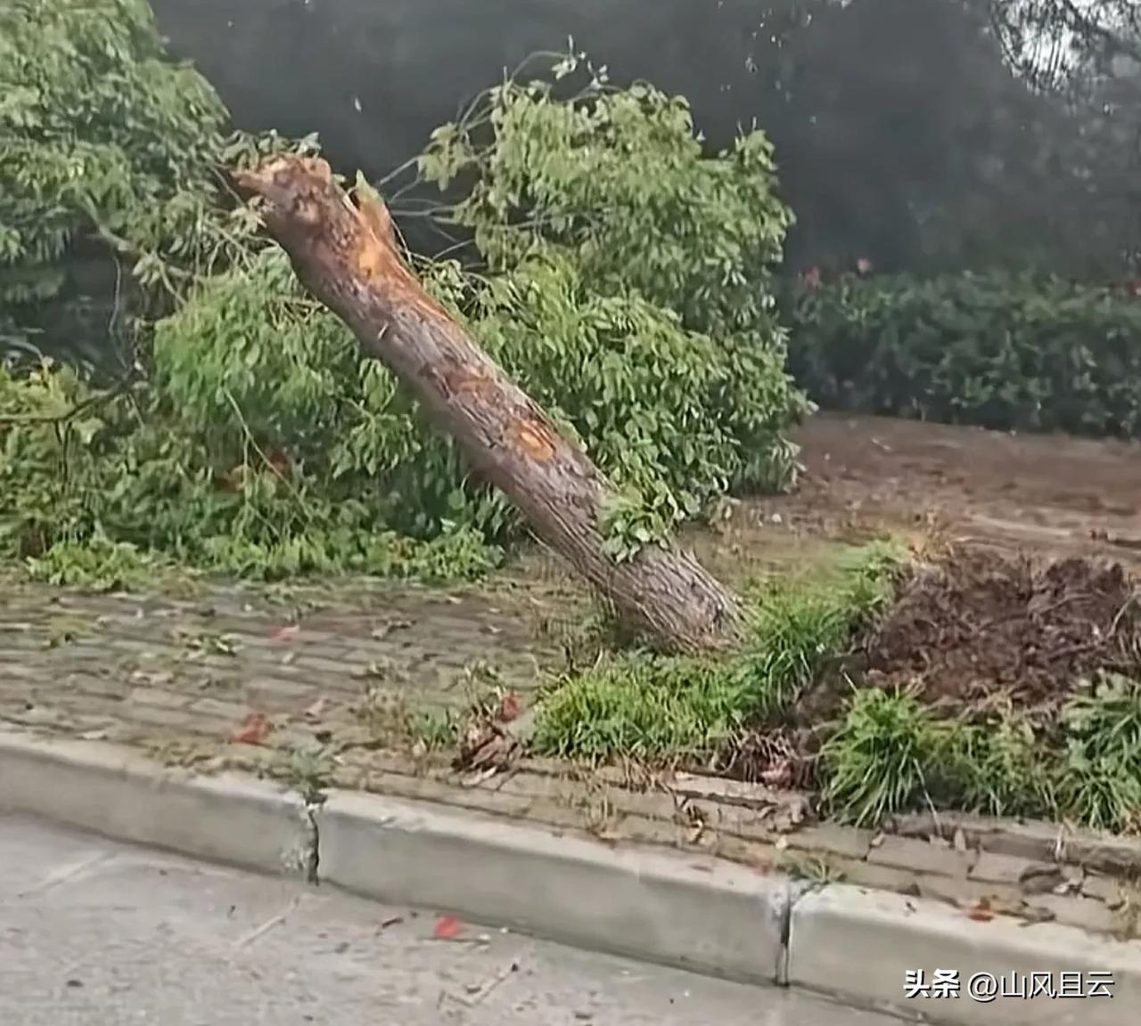 看图识车
仅凭第一张图，很多网友就快速认出了车子。真的是大神都在线上啊！
这是网