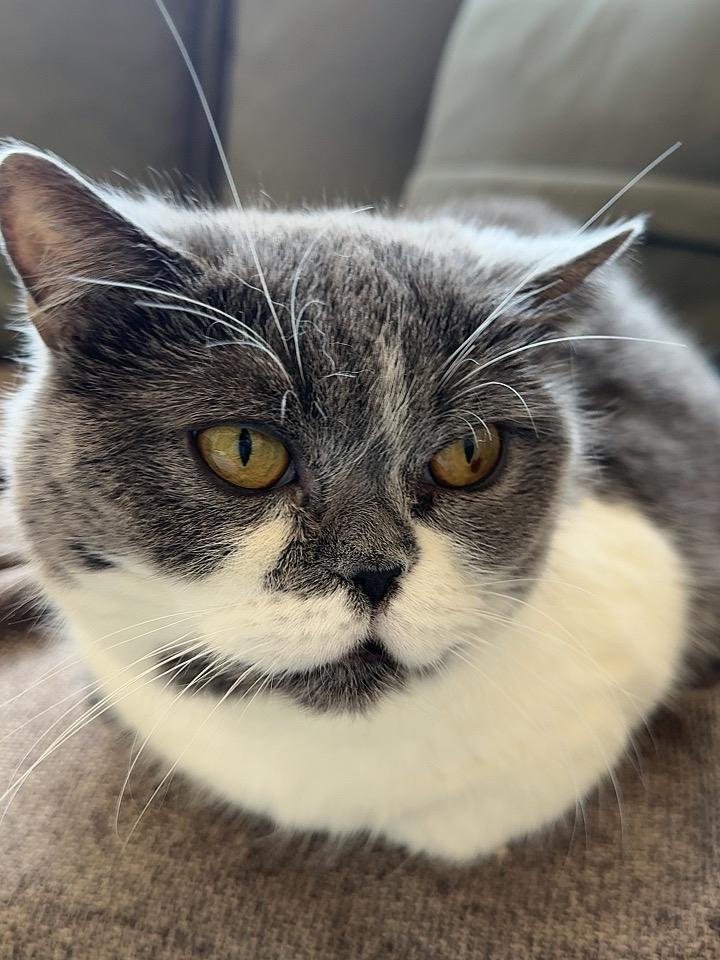 在单位里，38岁以上的中年人，如果所处层级很低，那一定会炫耀这两样东西

我敢打