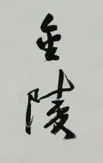孙晓云写的