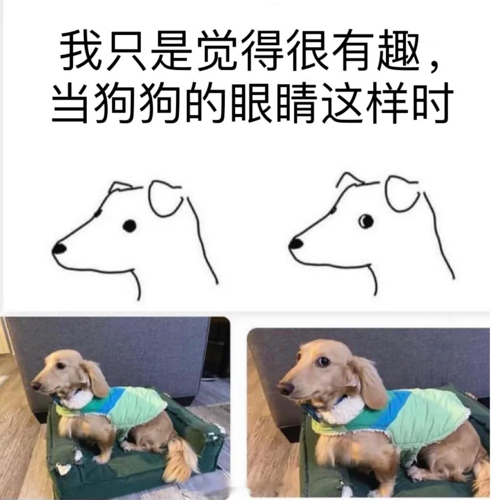 #meme##me_irl# ​​​