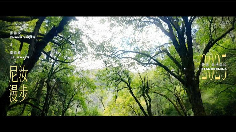 今年的冬至计划有变！被种草了“徒步+菌子锅”的神仙组合。累到腿软之后的热气腾腾，