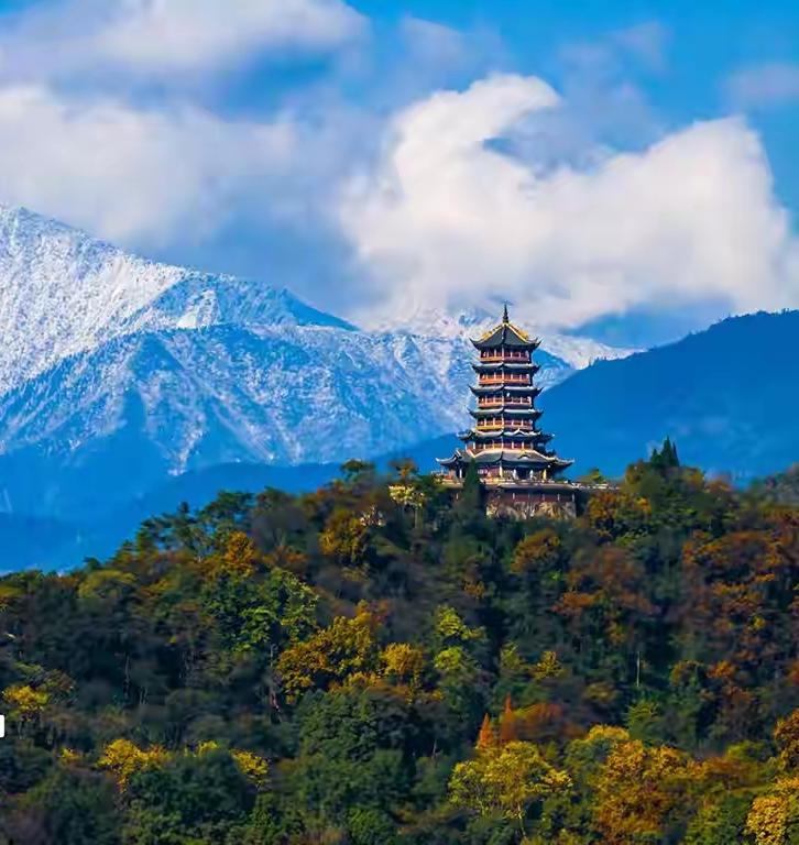 去青城山几十次，这次才玩明白，成都秋假，我在家门口找到了比云南更治愈的玩法！
