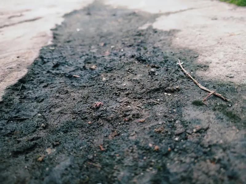 现在很多人对山泉水情有独钟。周末去城边小山、公园，常能看到一群人拉着小拉车，驮着