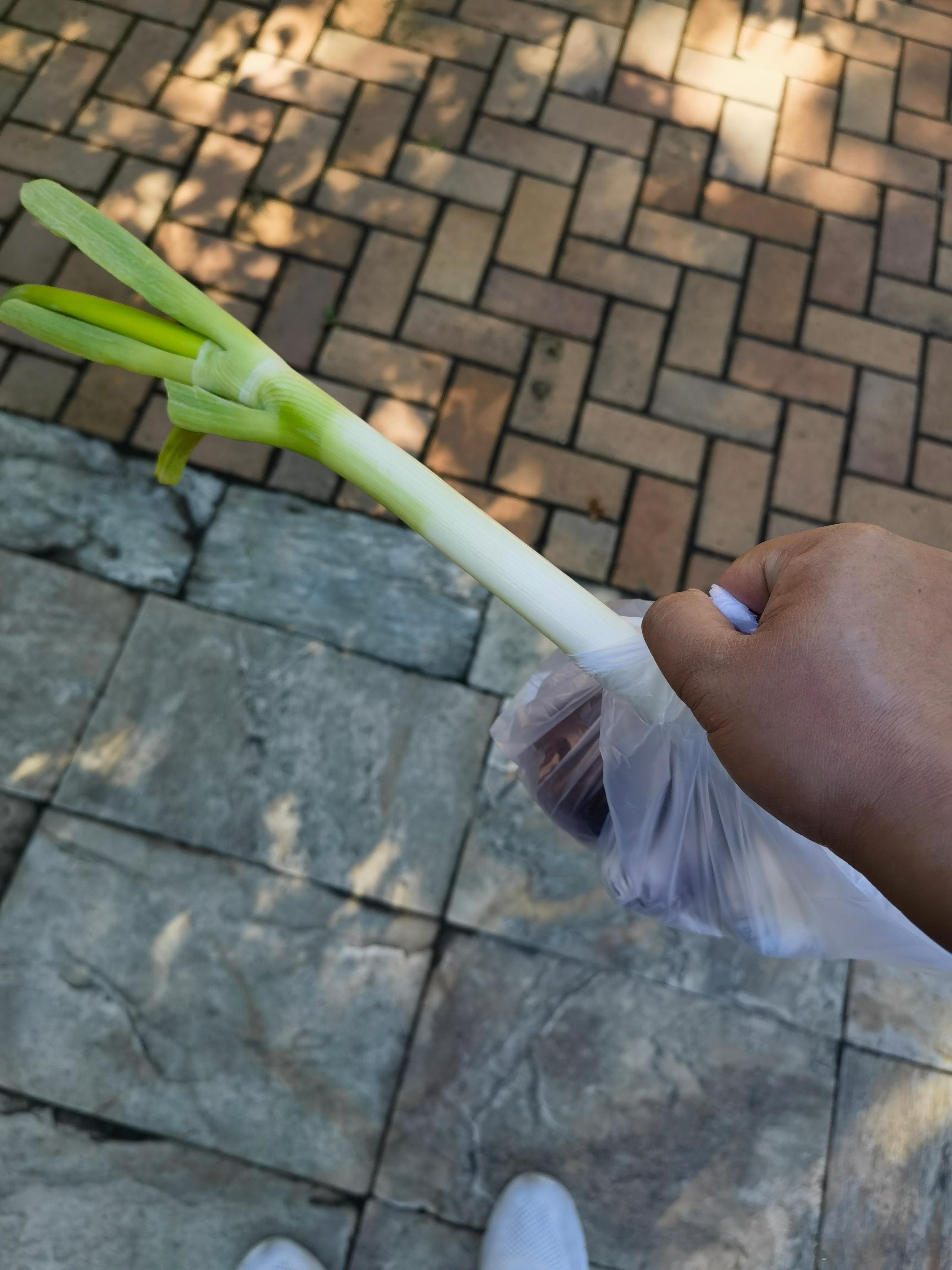早上去买菜，路过链家，店长正在给十几个店员们开晨会。大家站的笔直，白衬衣穿着，店