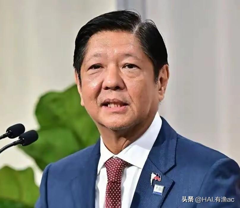 菲律宾能源紧急状态，马科斯向中国求助，中国应该帮助他吗？

这一事件揭示了一个长