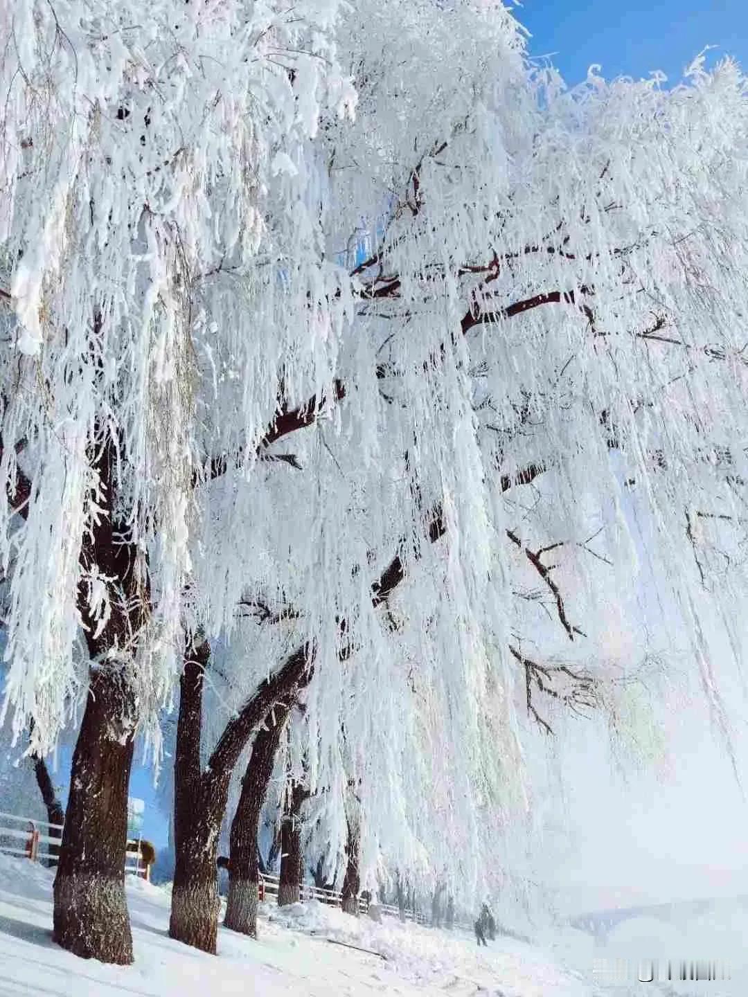 毛主席诗词《七律·冬云》
雪压东云白絮飞，万花纷谢一时稀。
高天滚滚寒流急，大地