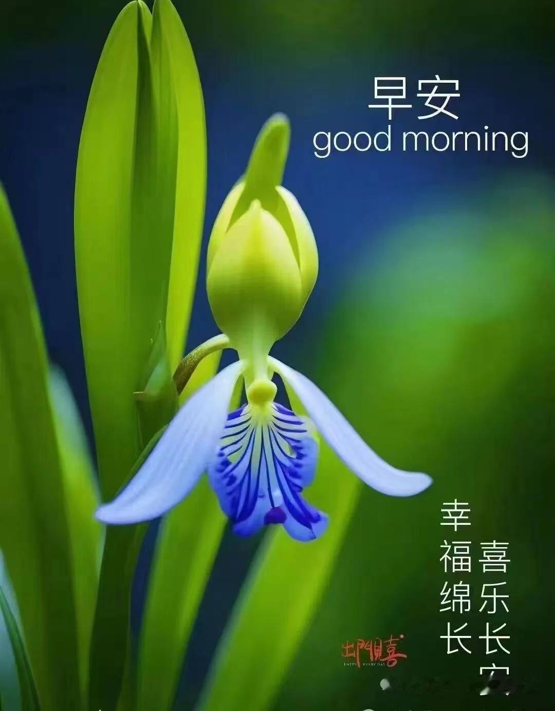 很浪漫的一段话，既实在，又扎心：
你的温柔，是包容，是理解，是不计回报的付出，是