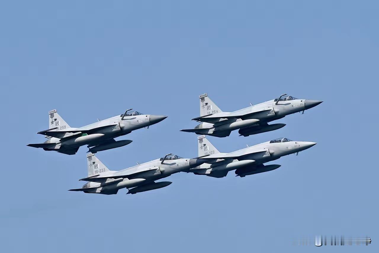 巴基斯坦首都伊斯兰堡已经保护的像铁桶一样，防的就是鱿鱼的偷袭
这样的安保还不算完