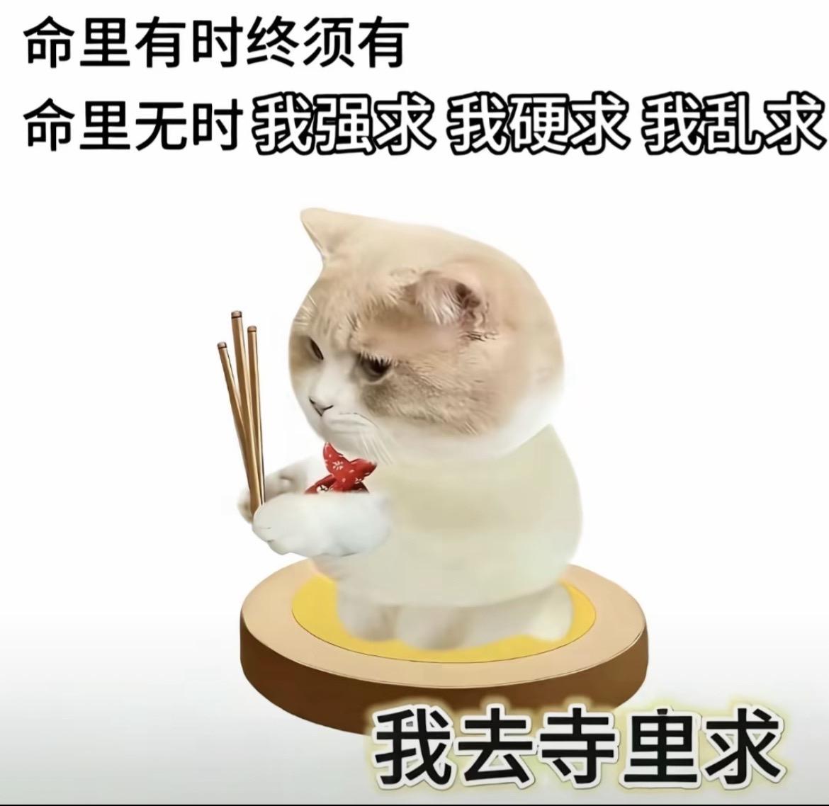 命里有时终须有，命里无时我强求，我硬求，我乱求，有福我就享没福我就抢，主打一个有