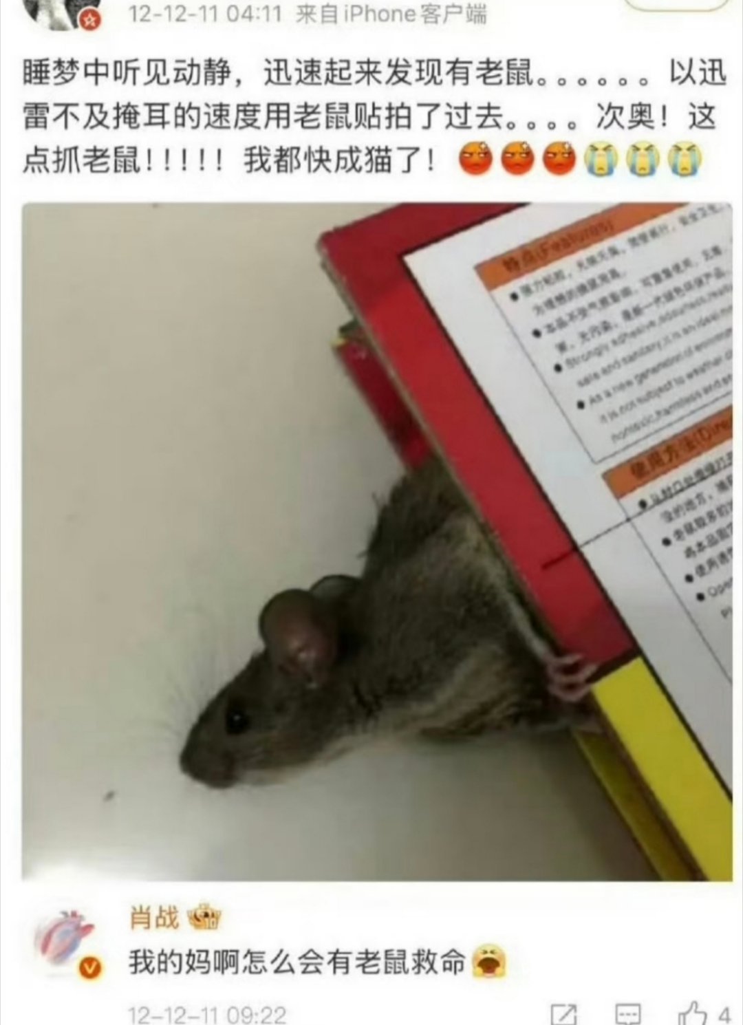 老鼠滚出地球！！！！[抓狂] ​​​
