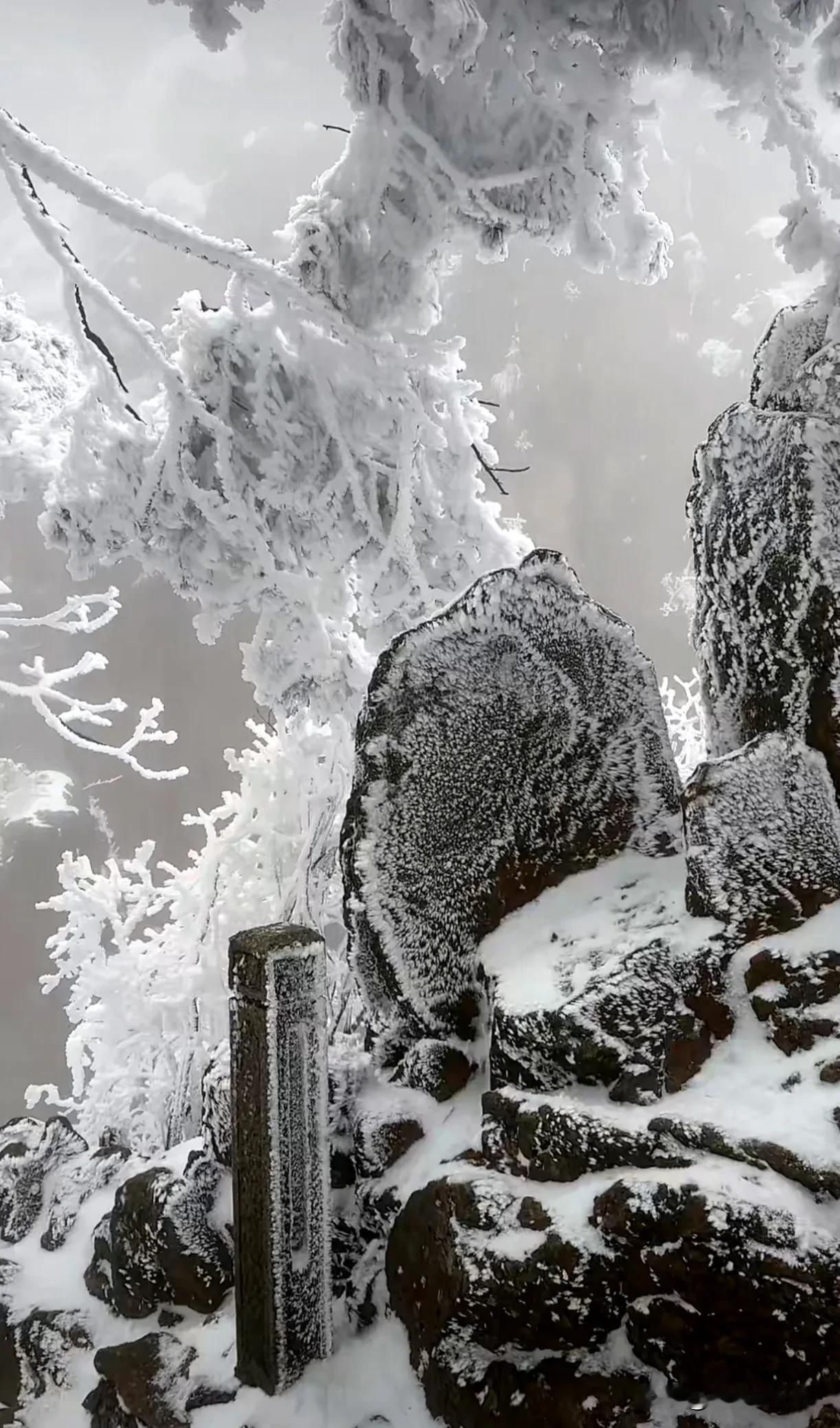 你见过北方的大雪吗大雪会让整个世界变得很安静。