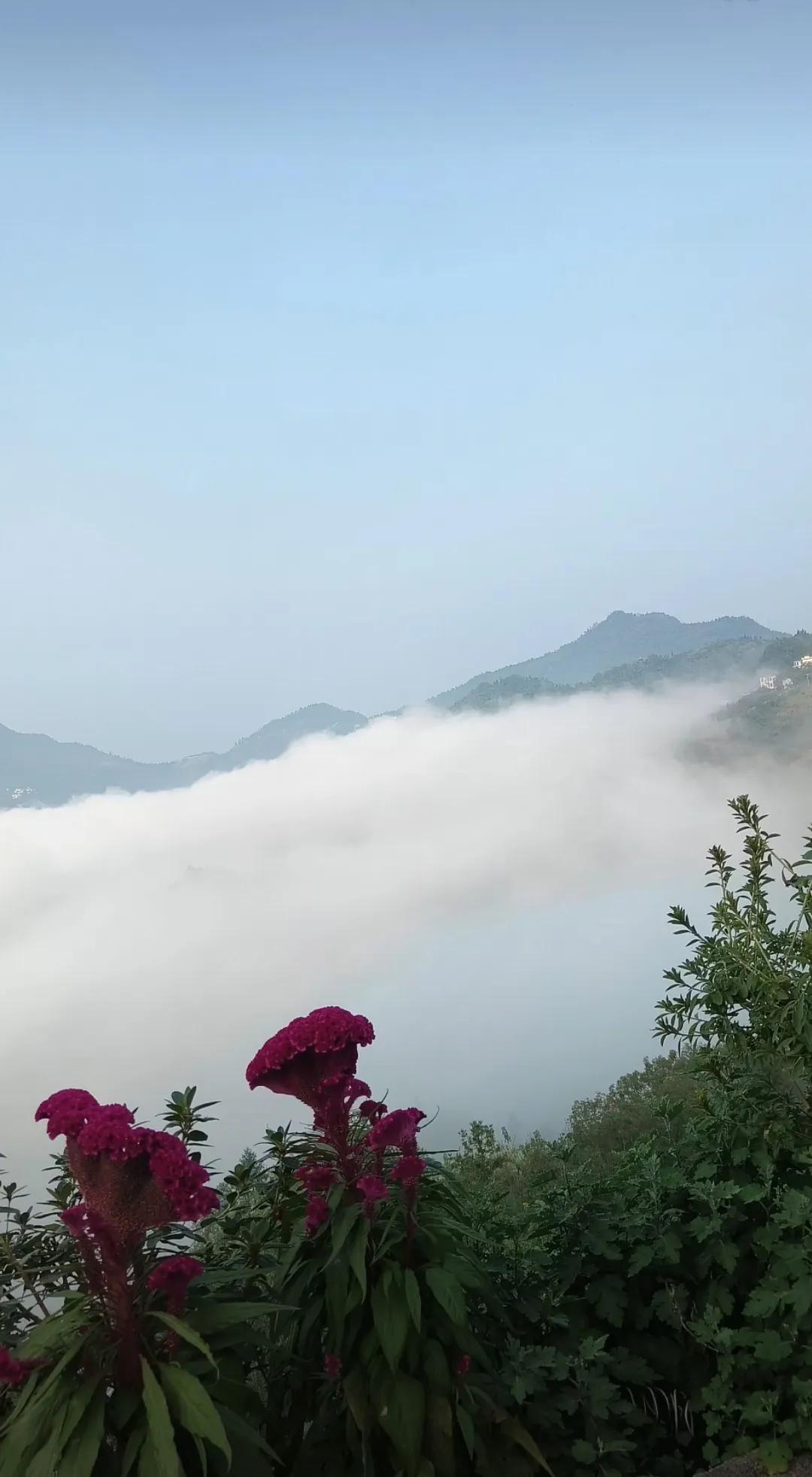 逃离城市高温，和家人自驾去了小众溪边。踩进清澈的溪水，冰冰凉凉超治愈！捞小鱼、打