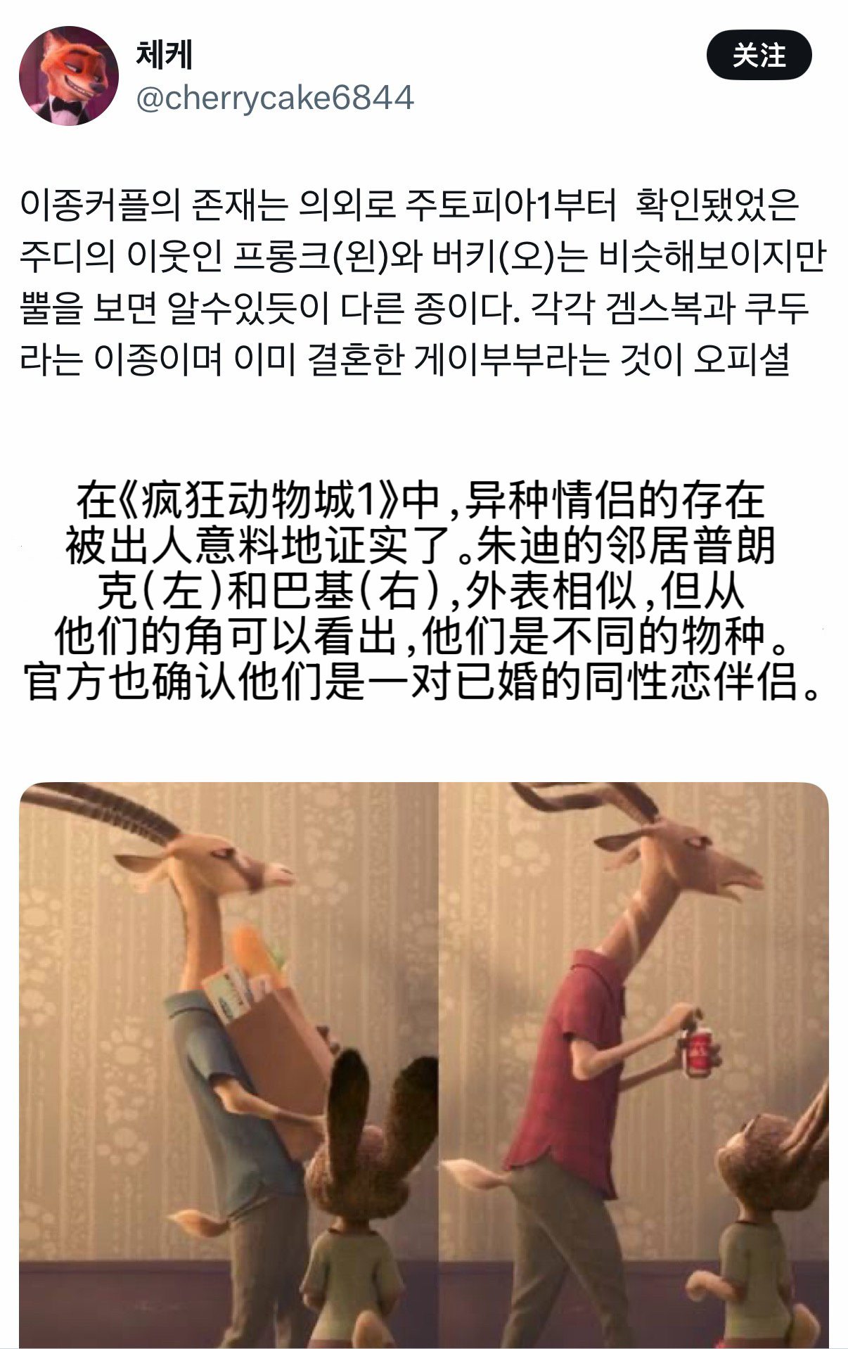 《疯狂动物城》里朱迪的邻居原来是一对TXL伴侣！！！跨年电影愿疯狂动物城