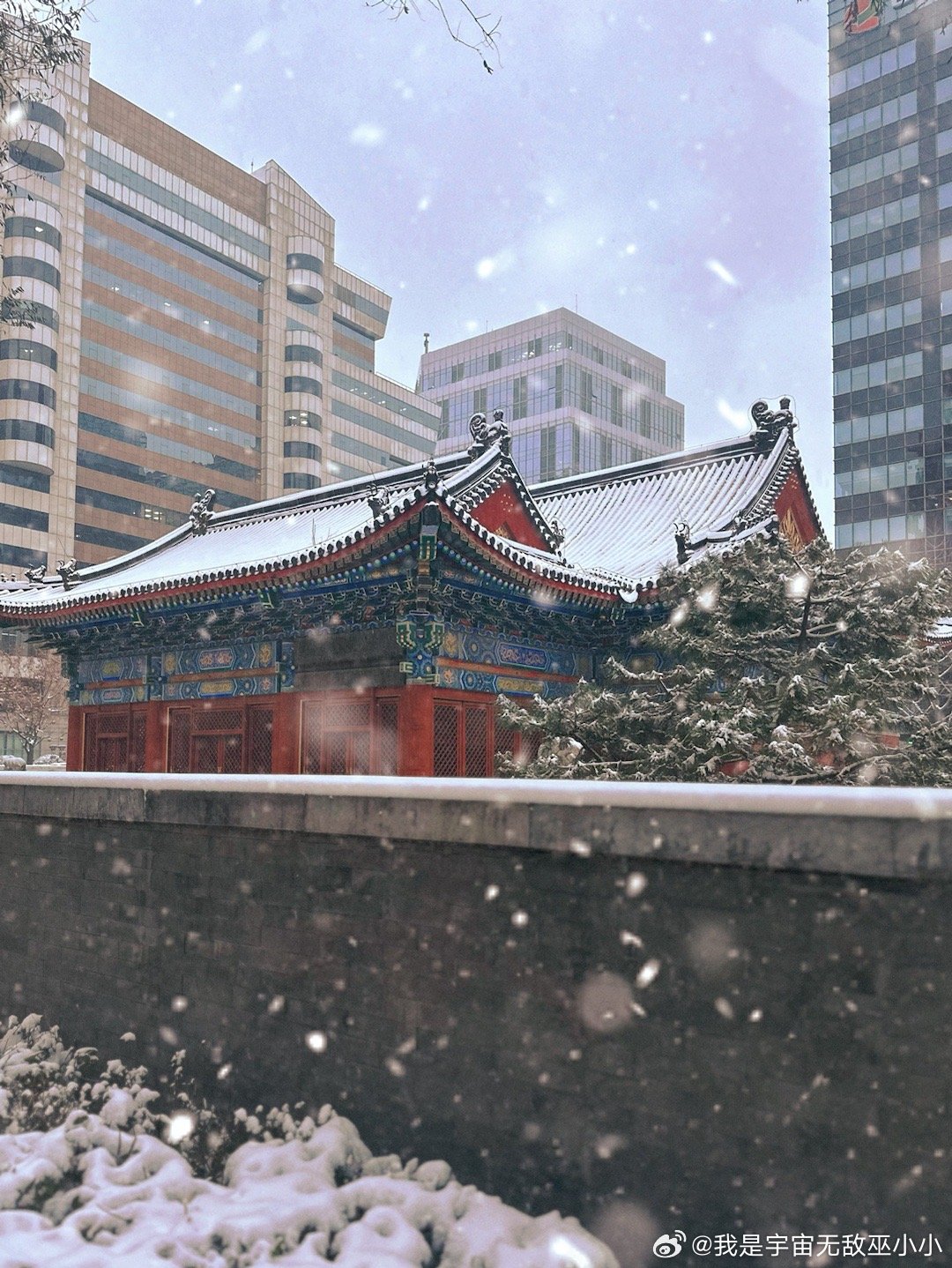 北京早上下雪了，初雪好美啊，早上路滑也忍不住掏出手机拍拍拍。爷爷上午带着小咪去玩