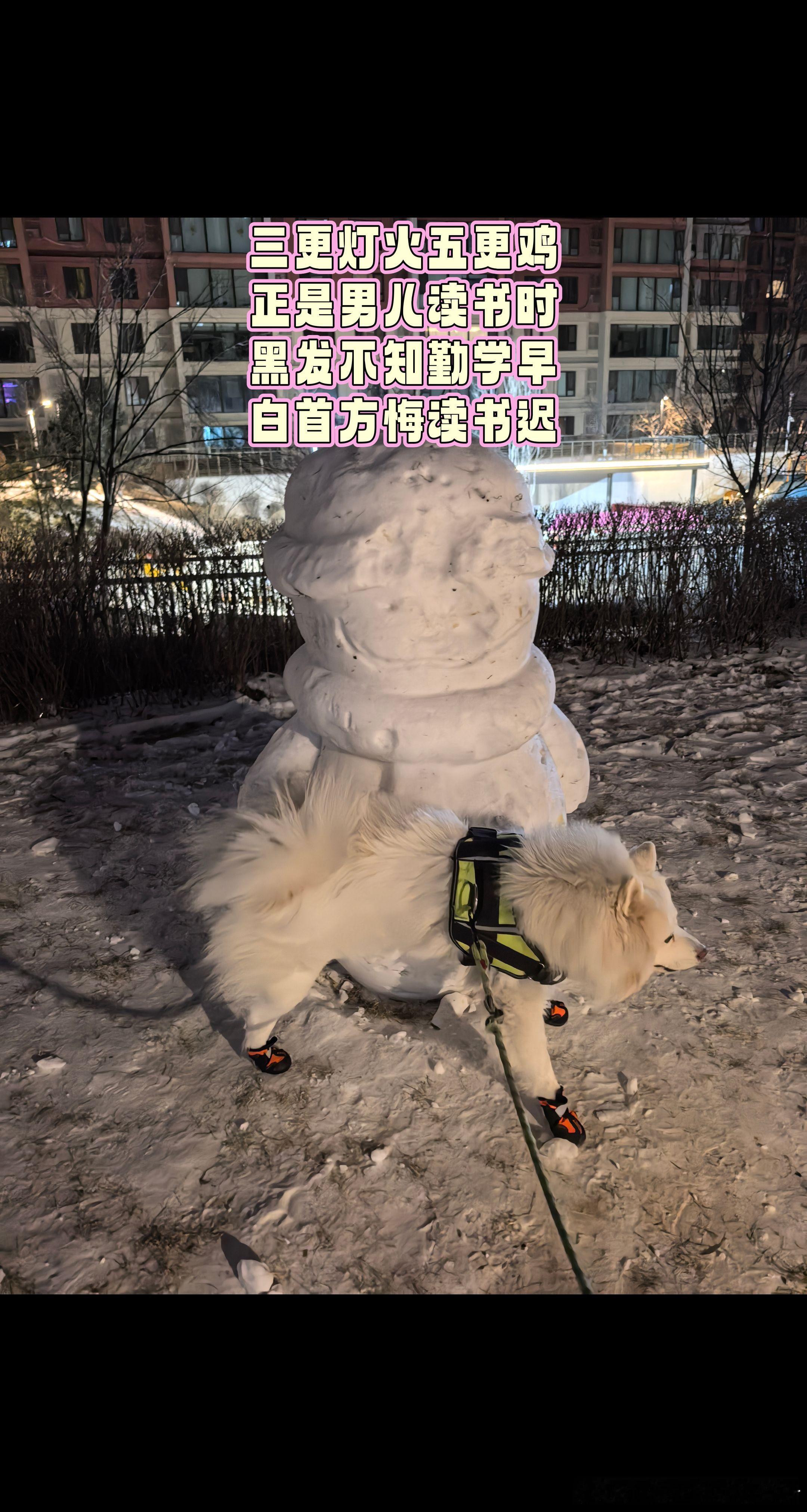 三更灯火五更鸡，正是男儿读书时。黑发不知勤学早，白首方悔读书迟。 